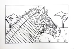 Zebra Drawing