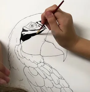 Parrot color contrast art lesson