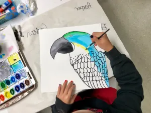Parrot color contrast art lesson