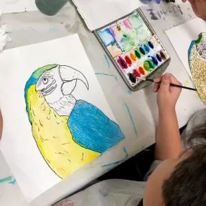 Parrot color contrast art lesson
