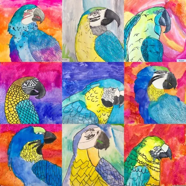 Parrot color contrast art lesson