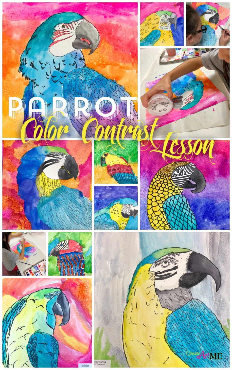 Parrot color contrast art lesson