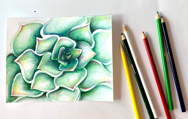Zoomed in Plant Drawing