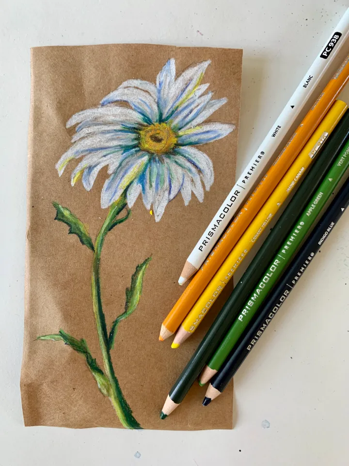 Prismacolor Daisy