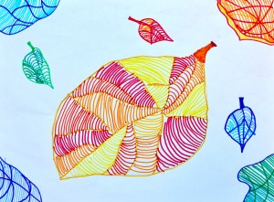 _DSC2017