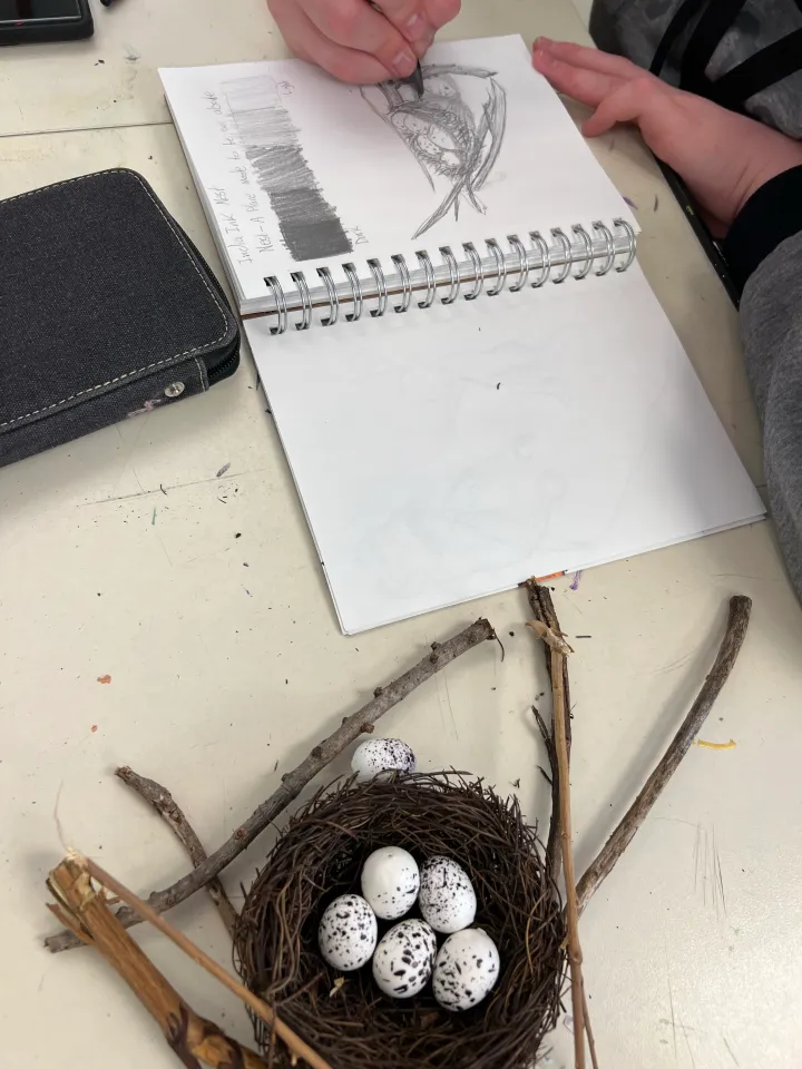 India Ink Nest Artwork