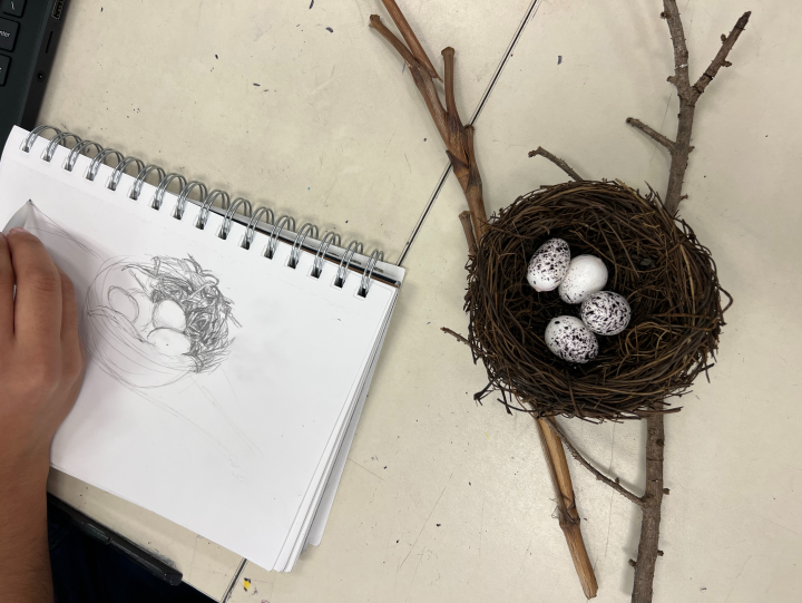 India Ink Nest Artwork