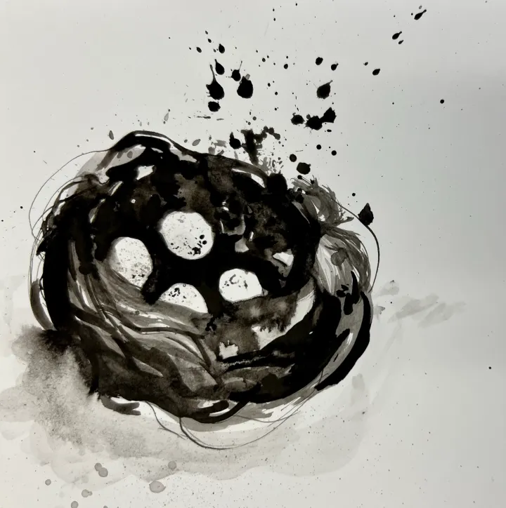 India Ink Nest Artwork