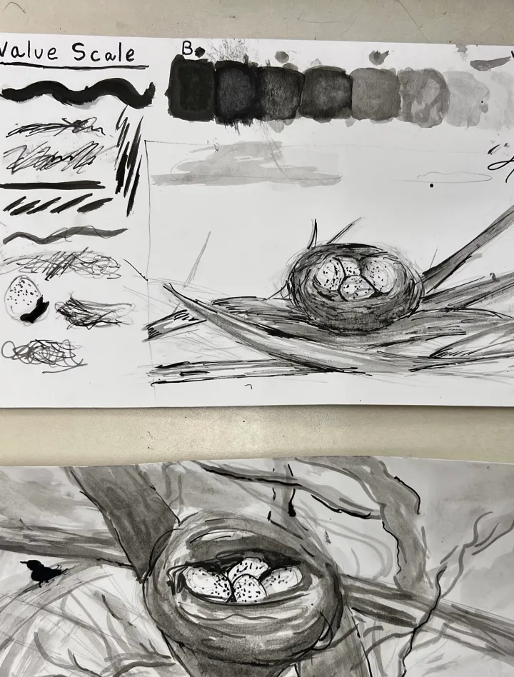India Ink Nest Artwork