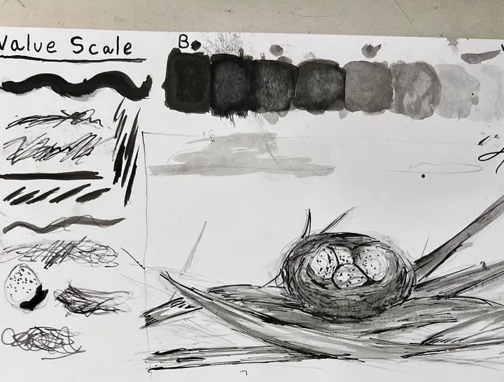 India Ink Nest Artwork
