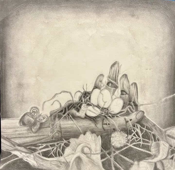 India Ink Nest Artwork