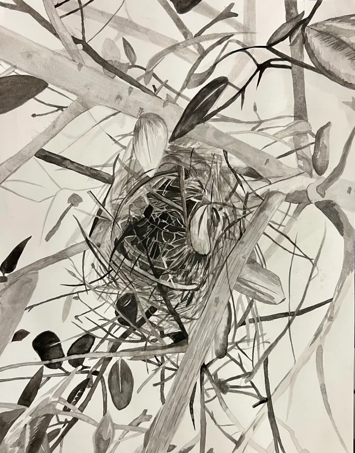 India Ink Nest Artwork