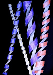 _DSC0031