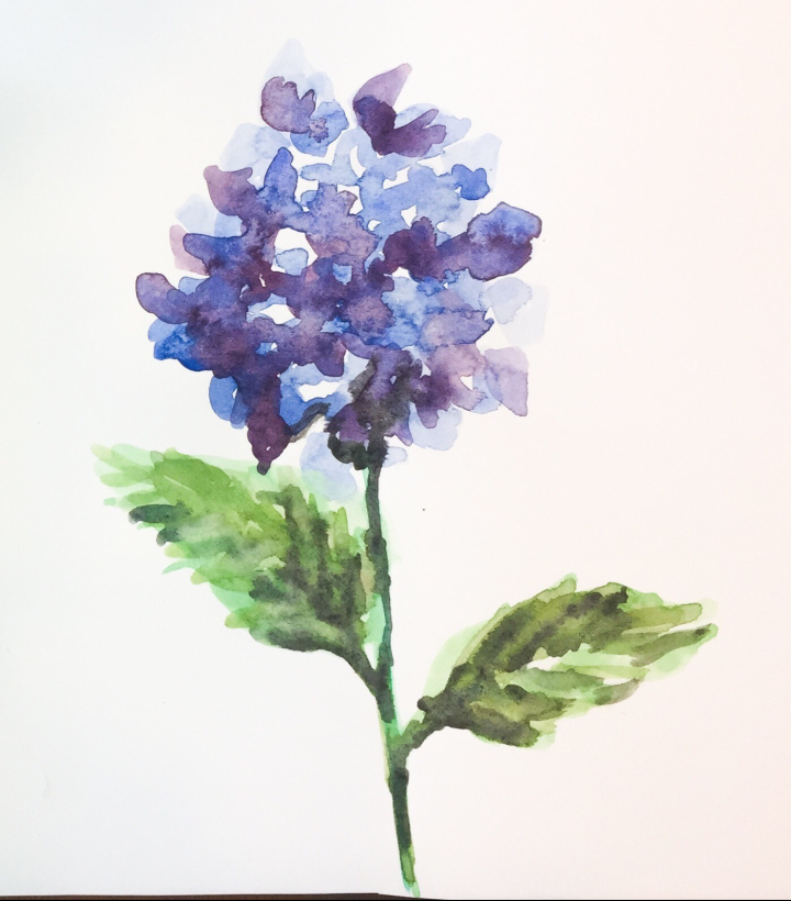Daily Doodle | Easiest Hydrangea Painting Ever