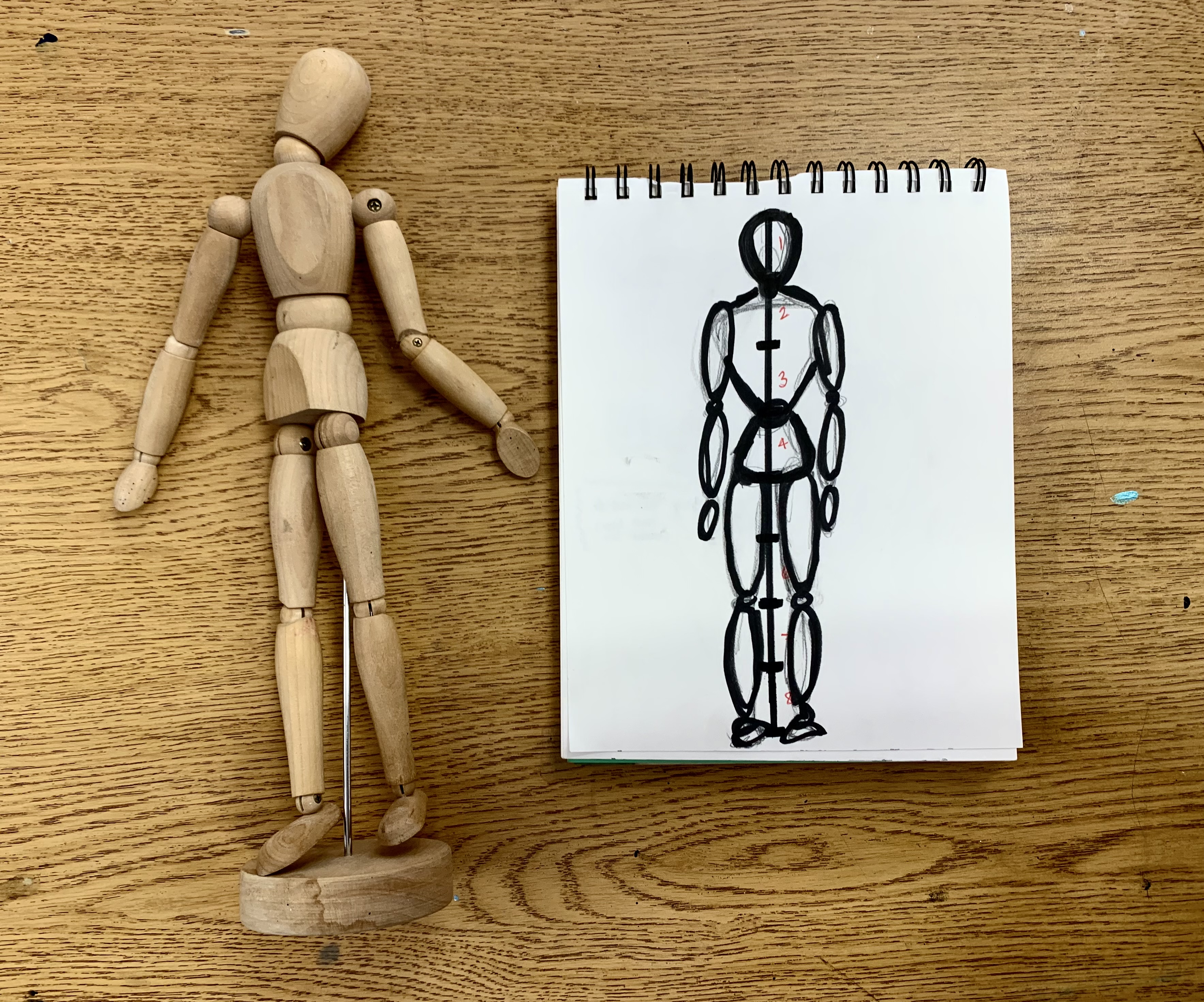 Featured: How to Draw Basic Human Proportions