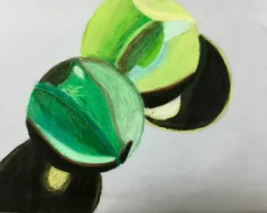 Enlargement Magnification Drawing