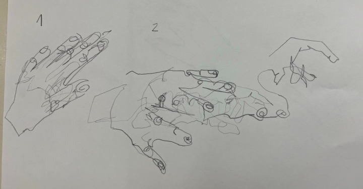 blind contour drawing
