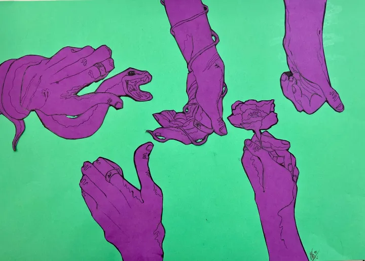 hand contour drawing