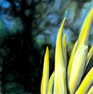 disegni19marzo_6