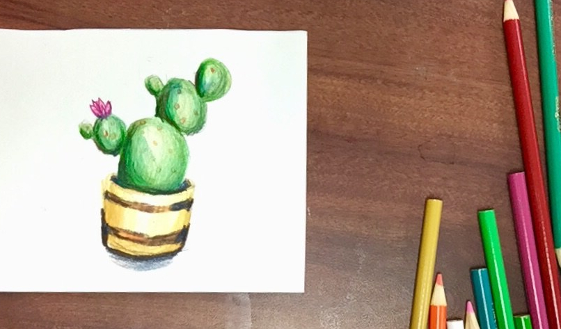 Featured: Daily Doodle: Cactus Drawing