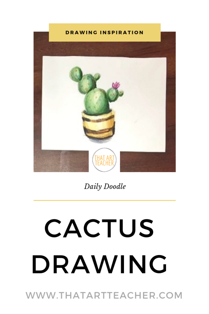 Getting ready to teach a still life unit using succulents and cacti plants.