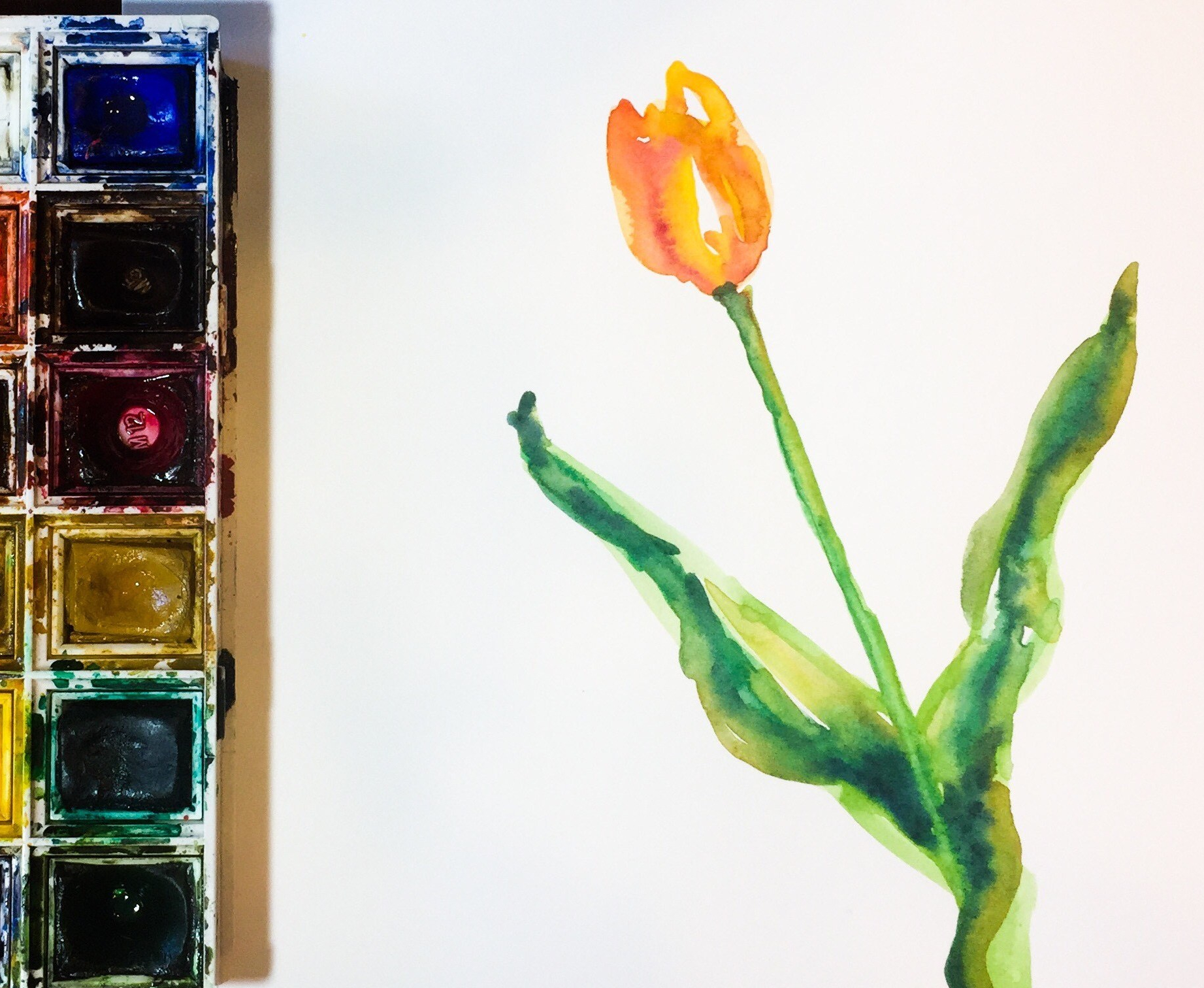 Featured: Daily Doodle | Easiest Tulip Painting Ever