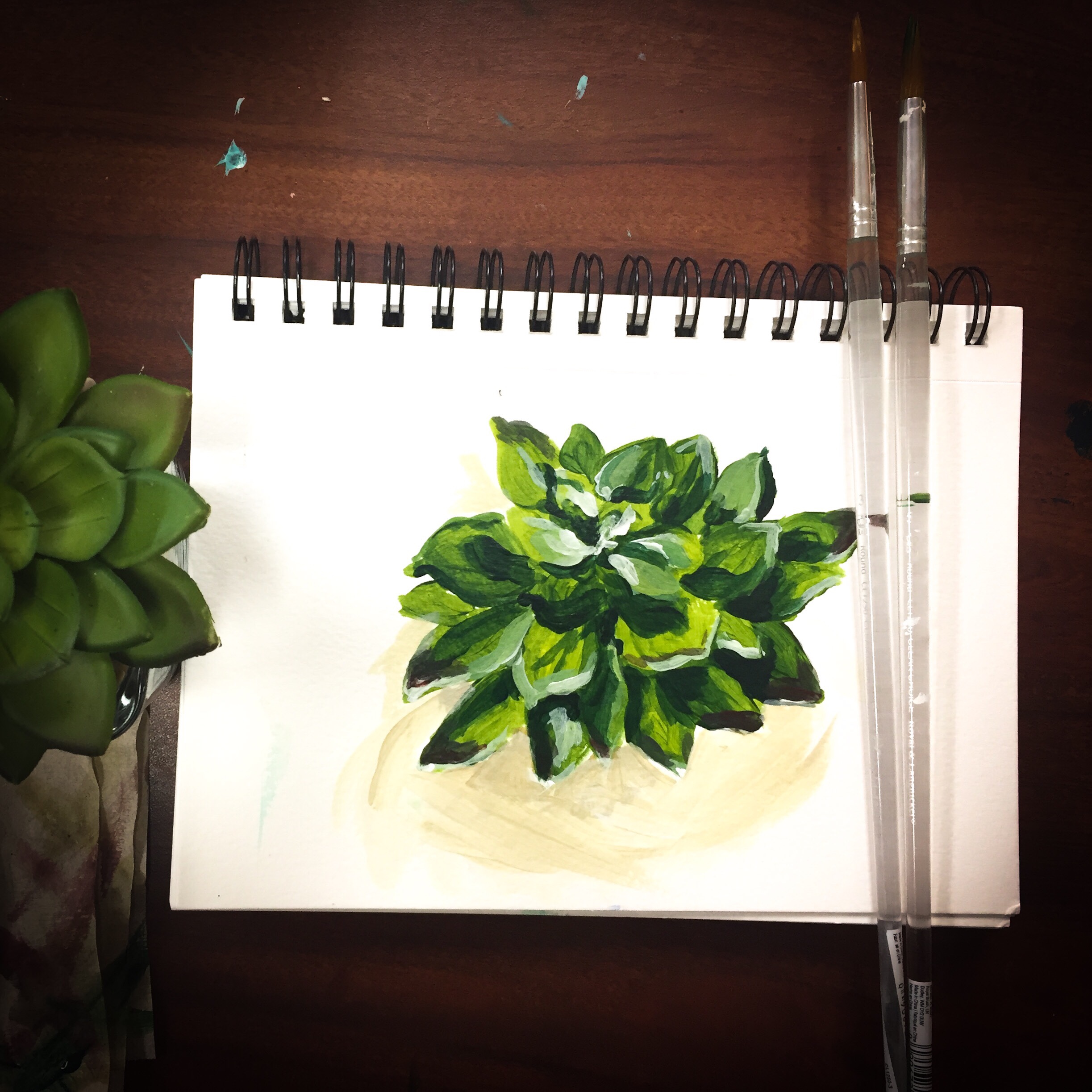 Featured: Daily Doodle: Succulent Acrylic Painting