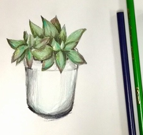 Featured: Daily Doodle: Succulent Drawing