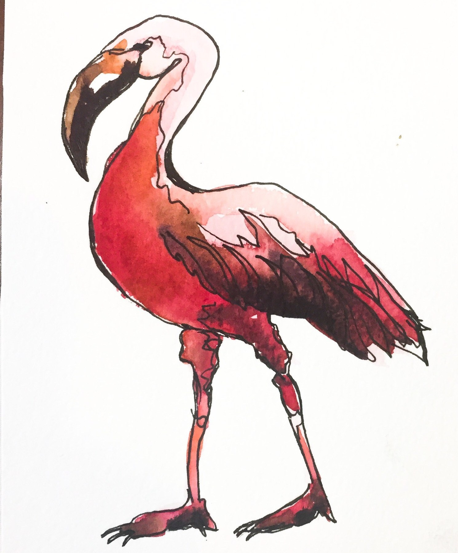 Featured: Daily Doodle: Happy Flamingo