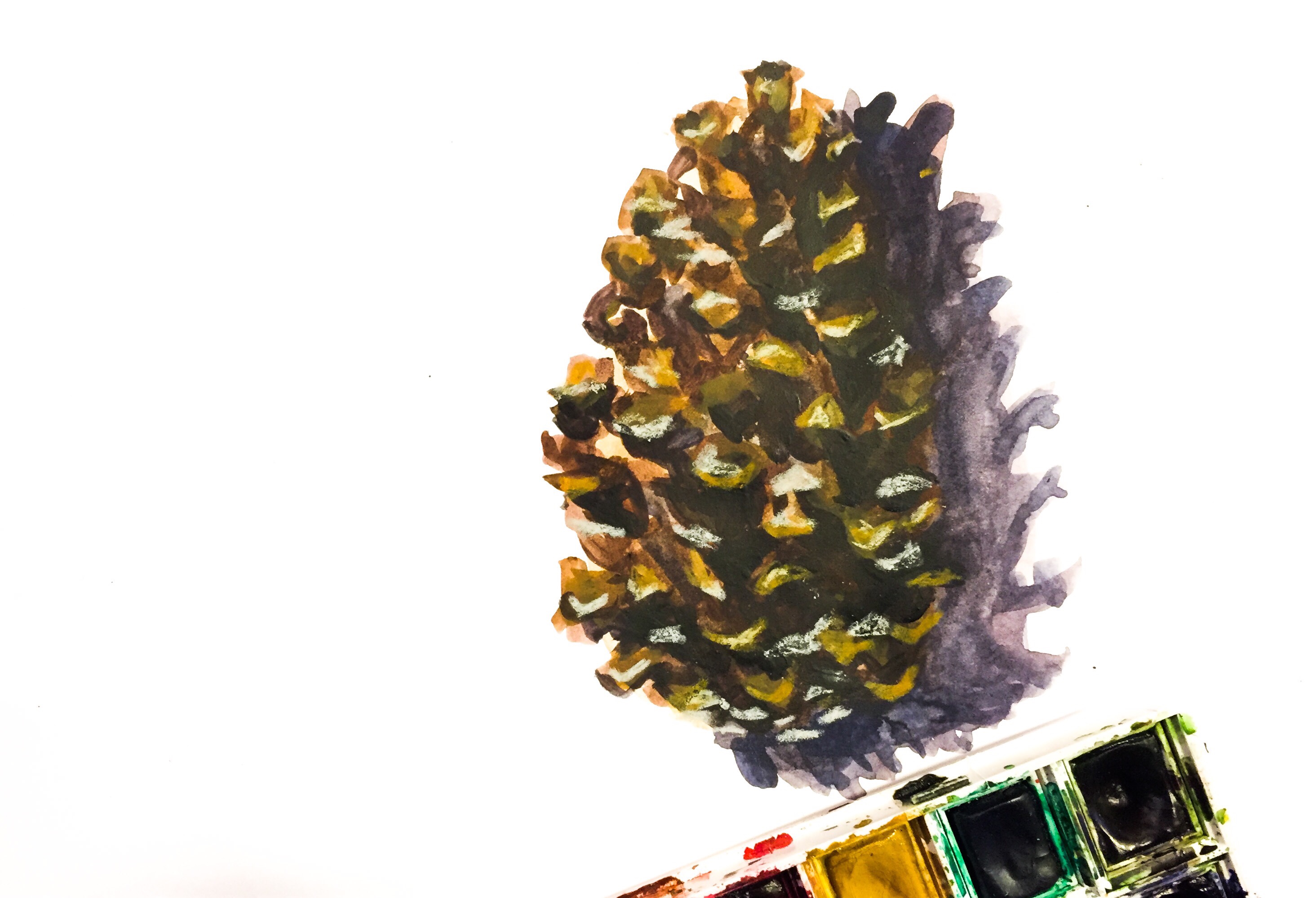 Featured: Daily Doodle: Pine Cone Painting
