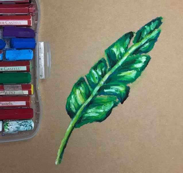 Featured: Daily Doodle | Oil Pastel Banana Leaf