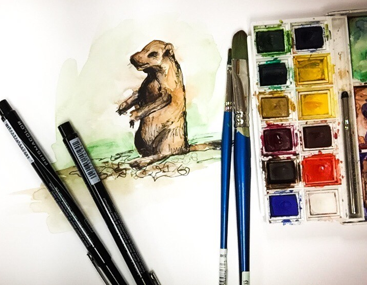 Featured: Daily Doodle: Prairie Dog