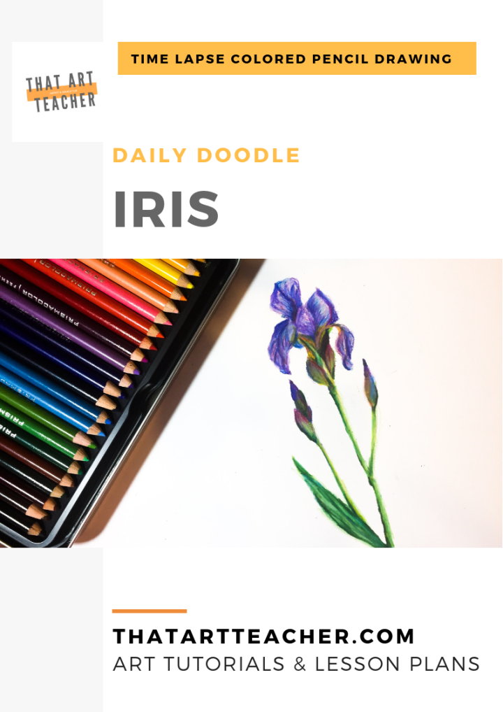 Learn how to blend colored pencils to create a vibrant iris drawing!