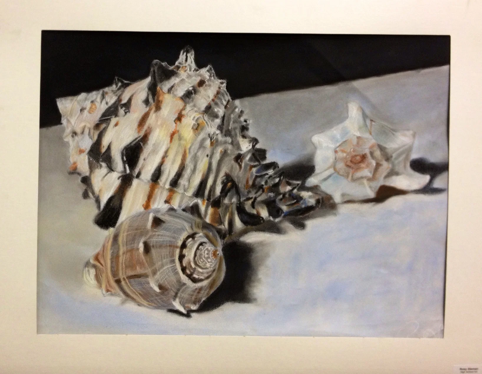 Featured: Sea Shell Pastel Drawing