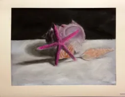 Sea Shell Pastel Drawings Observational Drawing Skills Lesson