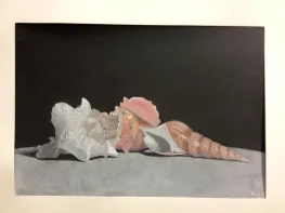 Sea Shell Pastel Drawings Observational Drawing Skills Lesson