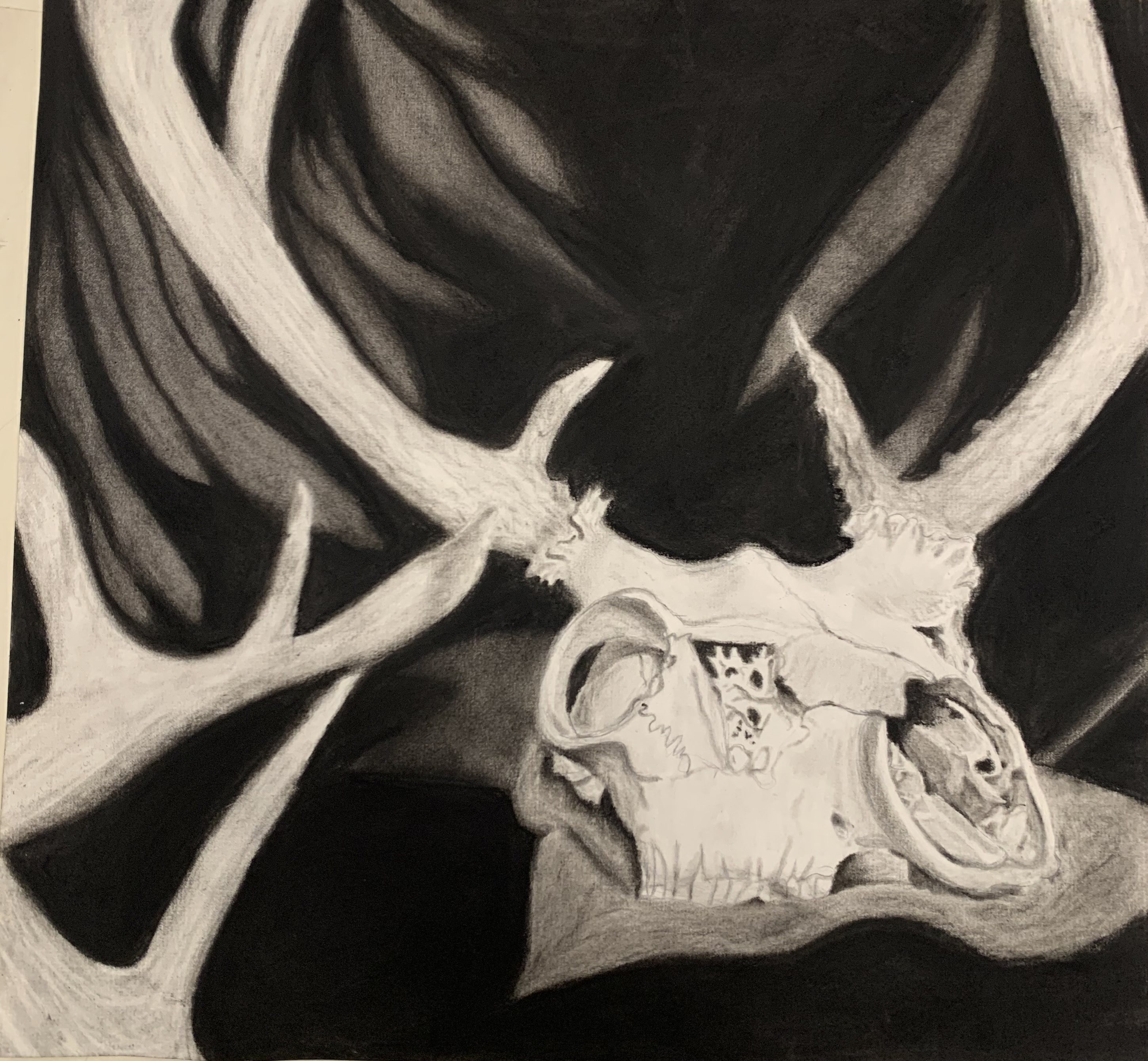 Featured: Charcoal Skull Artwork