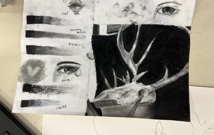 deer skull charcoal practice