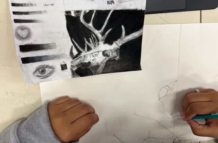 deer skull charcoal practice