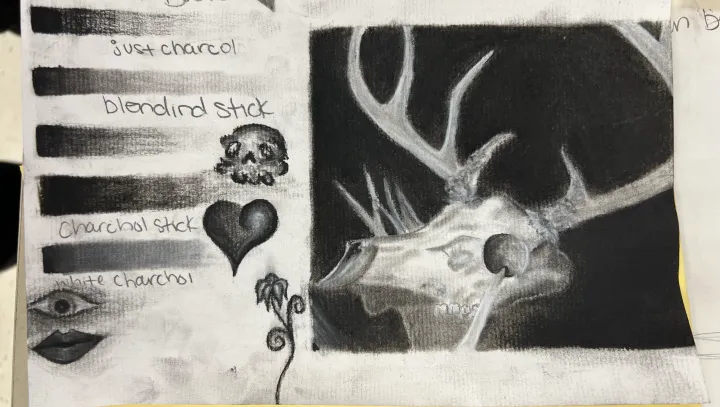 deer skull charcoal practice