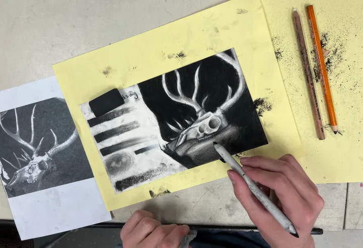 deer skull charcoal practice