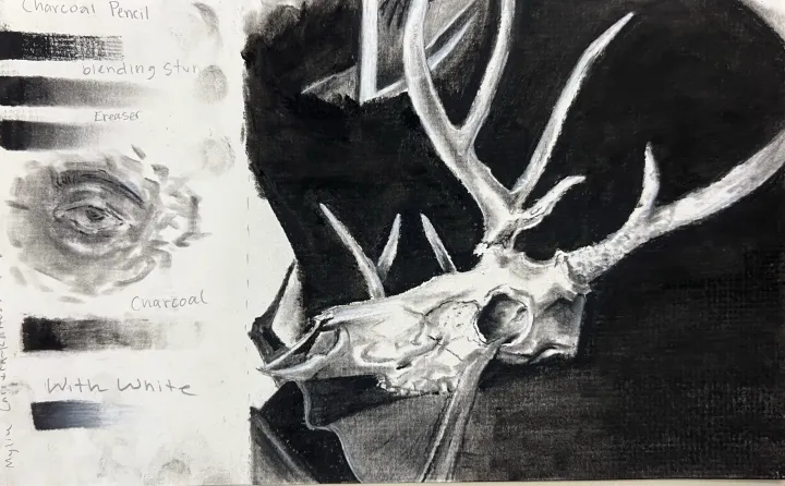 deer skull charcoal practice