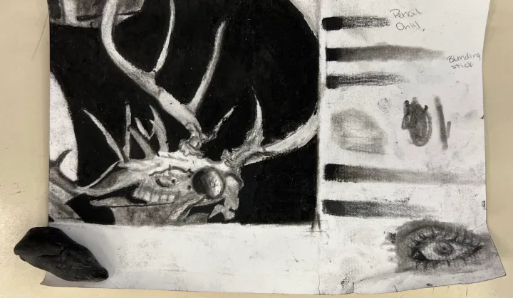 deer skull charcoal practice