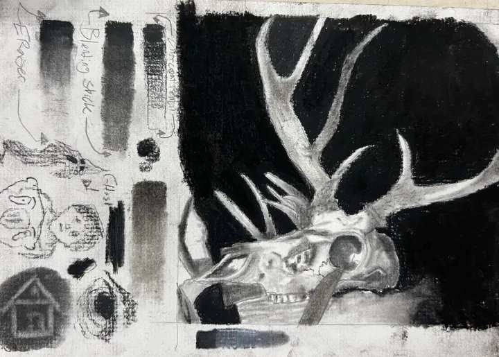 deer skull charcoal practice