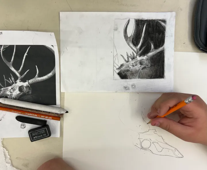 charcoal skull still life