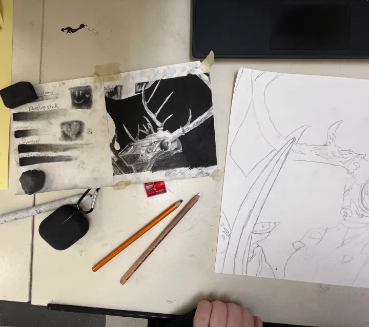 charcoal skull still life