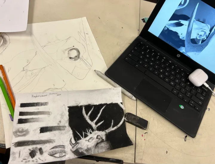 charcoal skull still life
