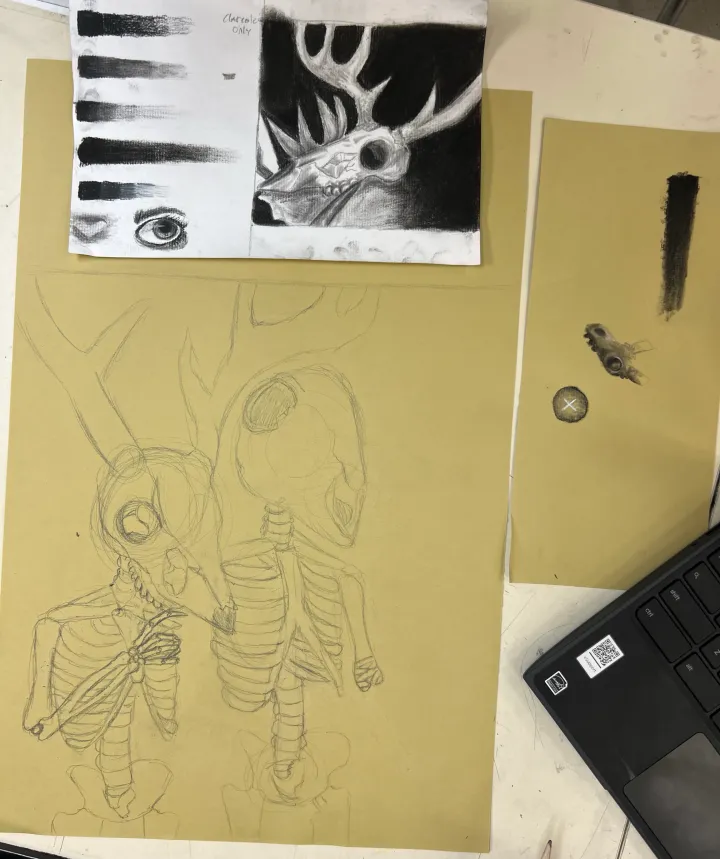 charcoal skull still life