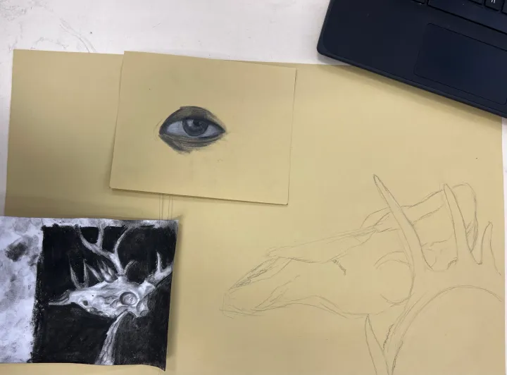 charcoal skull still life