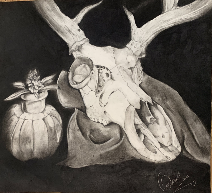 Charcoal Skull Artwork